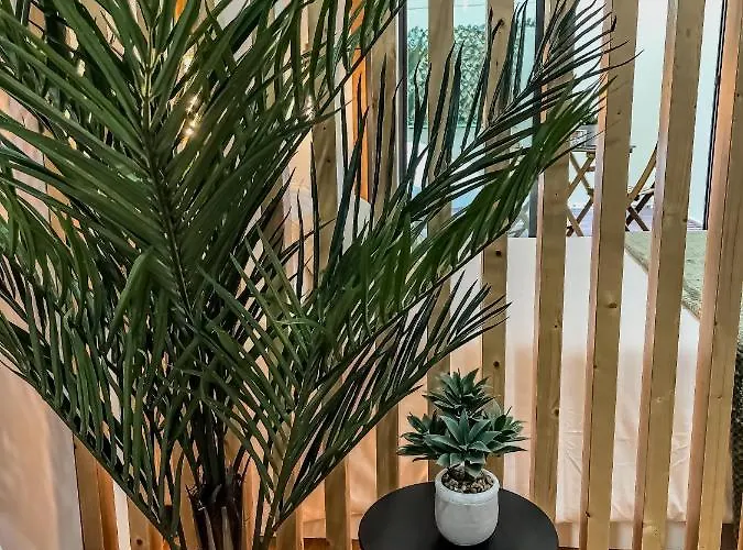 Aparthotel La Terraza De David Vigo